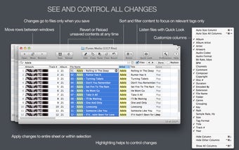 Imagen 2 para Tag Editor