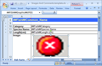 Imagen 0 para TMS FlexCel Studio for VC…