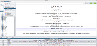 Imagen 0 para AlQuraan