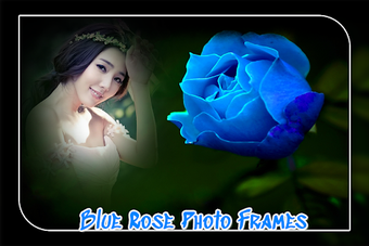Imagen 2 para Blue Rose Photo Frame