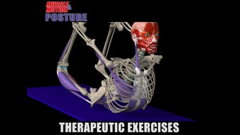 Image 1 for Muscle and Motion POSTURE