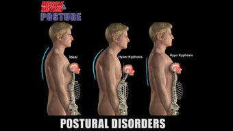 Image 3 for Muscle and Motion POSTURE