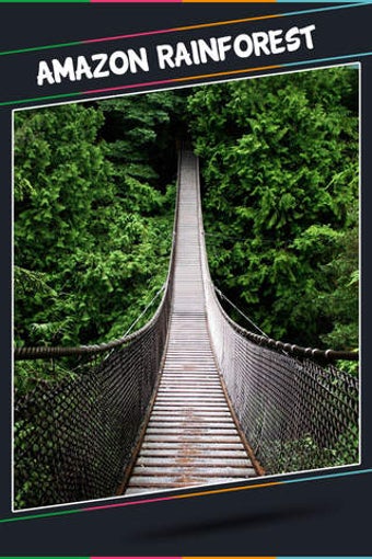 Image 0 for Amazon Rainforest