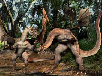 Image 0 for Fighting Dragons