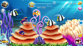 Image 2 for Fish Paradise - Aquarium …