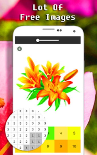 Image 1 for Lily Flower Color By Numb…