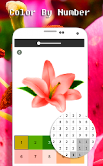Image 2 for Lily Flower Color By Numb…
