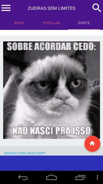 Imagen 1 para Memes never Ends
