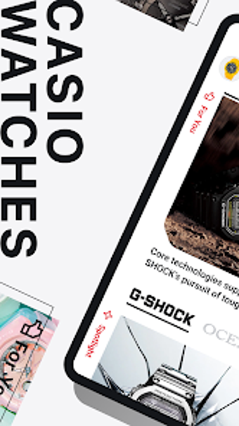 Imagen 0 para CASIO WATCHES