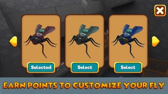 Image 2 for House Fly Insect Survival…
