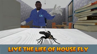 Image 3 for House Fly Insect Survival…
