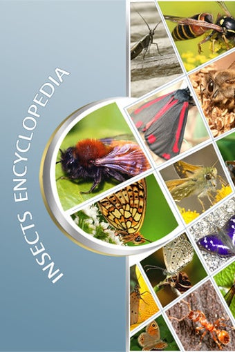 Imagen 7 para Insects Catalog