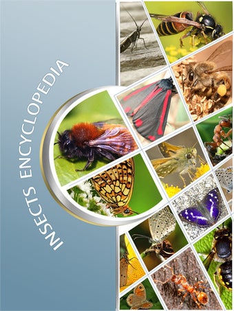 Imagen 5 para Insects Catalog
