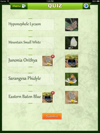 Imagen 4 para Insects Catalog