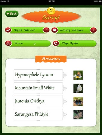 Imagen 3 para Insects Catalog