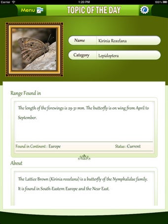 Imagen 2 para Insects Catalog