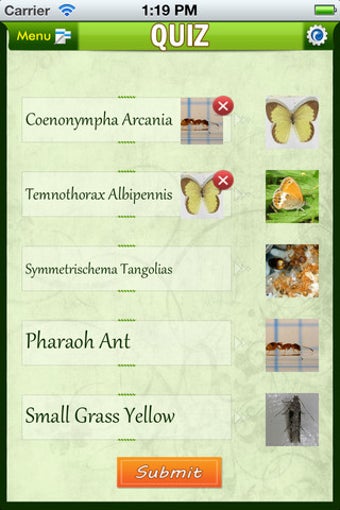 Imagen 6 para Insects Catalog