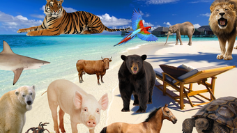 Image 1 for Animal Photo Booth - Add …