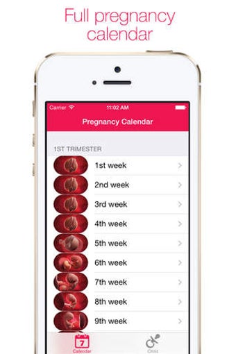 PregnaLove - pregnancy calendar/calculate your child sex and birth date ...