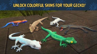 Image 3 for Gecko Survival Simulator …
