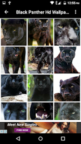 Image 0 for Black Panther Hd Wallpape…