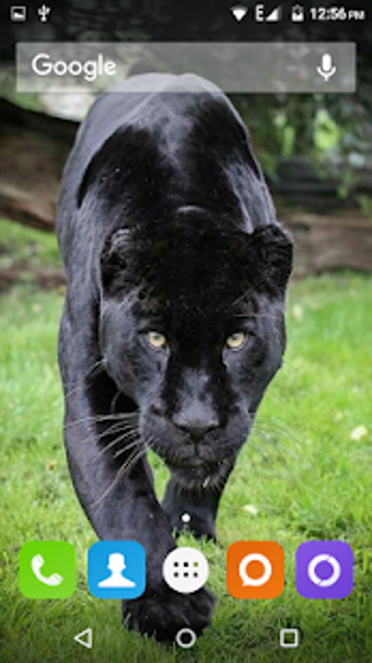 Imagen 3 para Black Panther Hd Wallpape…