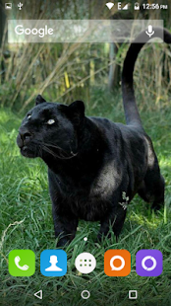 Imagen 1 para Black Panther Hd Wallpape…