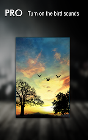 Image 0 for Sunset Hill Pro Live Wall…