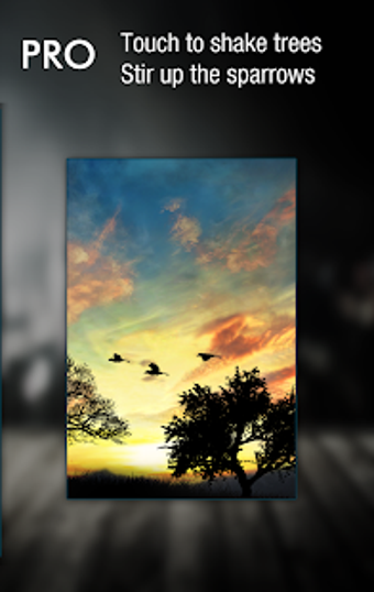 Image 1 for Sunset Hill Pro Live Wall…