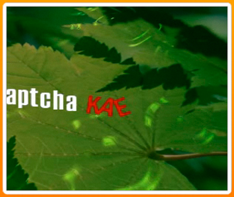 Image 0 for NuCaptcha Lite