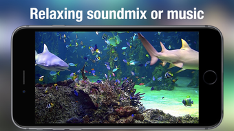 Image 0 for Aquarium Live: Nature & c…