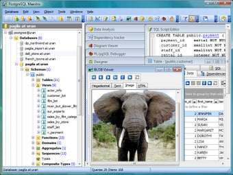 Image 0 for PostgreSQL Maestro