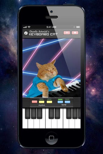 Image 0 for Keyboard Cat - Learn to P…