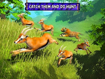 Image 2 for Wild Tiger Survival - Ani…