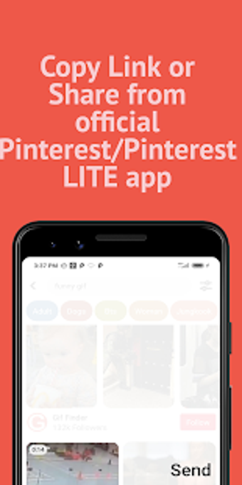 Imagen 1 para Video Downloader for Pint…