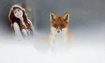 Imagen 0 para Wildlife Photo Frame