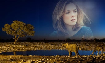 Imagen 7 para Wildlife Photo Frame