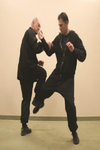 Imagen 0 para Wing Chun