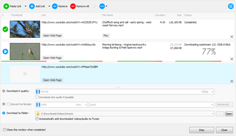 Image 1 for Any Video Downloader