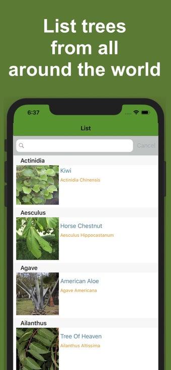 Image 1 for Forest Tree Identificatio…