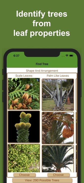 Image 1 for Forest Tree Identificatio…
