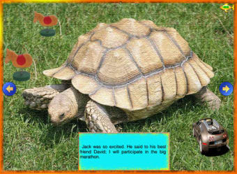 Image 0 for Fast Turtle