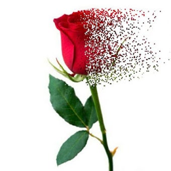 Imagen 3 para Dispersion effect Pixel e…