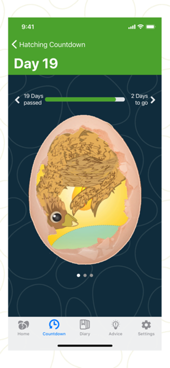Image 2 for iHatch-Chickens