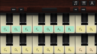 Image 1 for Organ
