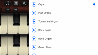 Image 1 for Organ