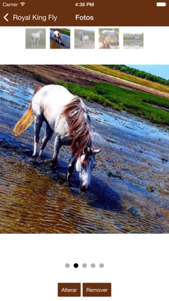 Image 0 for Meu Cavalo App