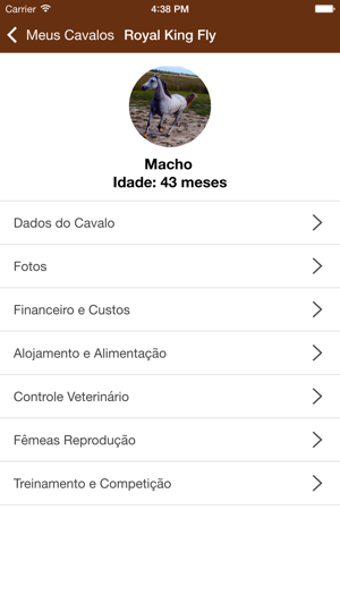 Image 1 for Meu Cavalo App
