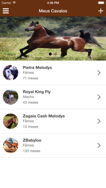 Image 2 for Meu Cavalo App