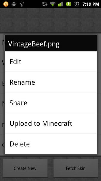 Image 3 for Minecraft Hub (Skin Creat…